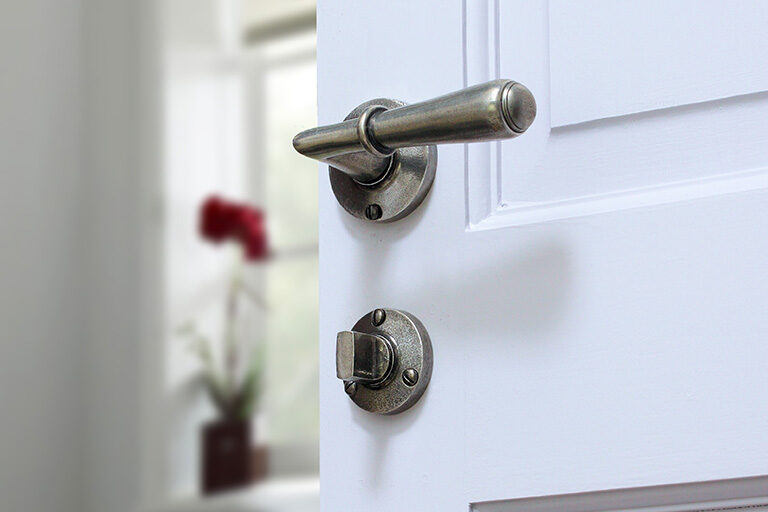 Lincoln Back to Back Pair - Push or Pull - Architectural Door Handles